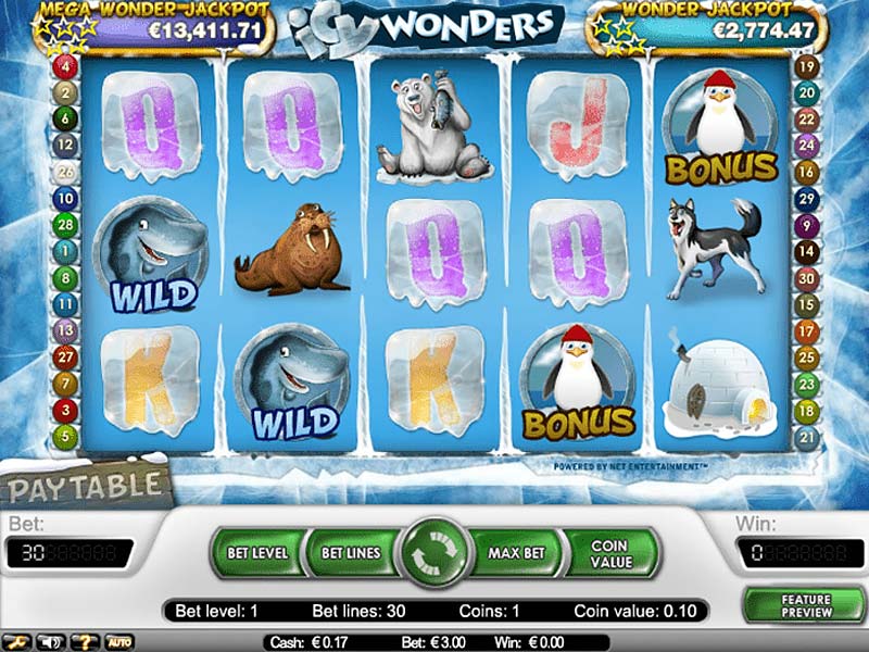 Icy Wonders capture d'écran de jeu 2 petit