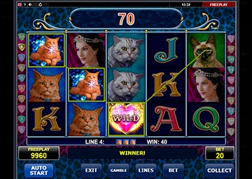 Diamond Cats capture d'écran de jeu 1 petit