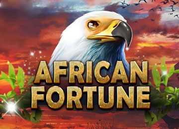 African Fortune