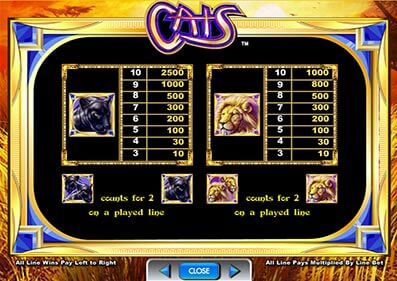 Cats capture d'écran de jeu 2 petit