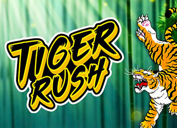 Rush tigre