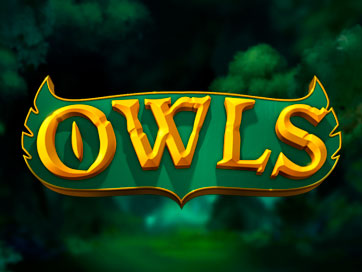 Owls