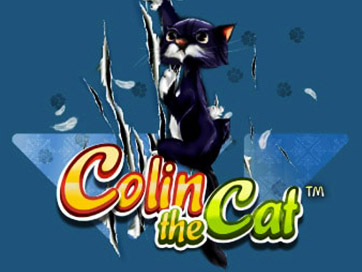 Colin The Cat