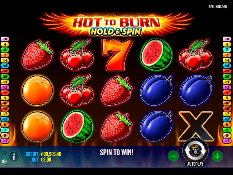 Hot to Burn Hold and Spin capture d'écran de jeu 3 petit