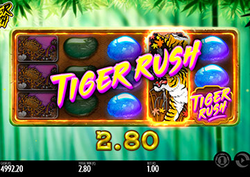 Rush tigre capture d'écran de jeu 2 petit