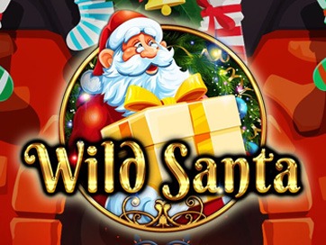 Wild Santa