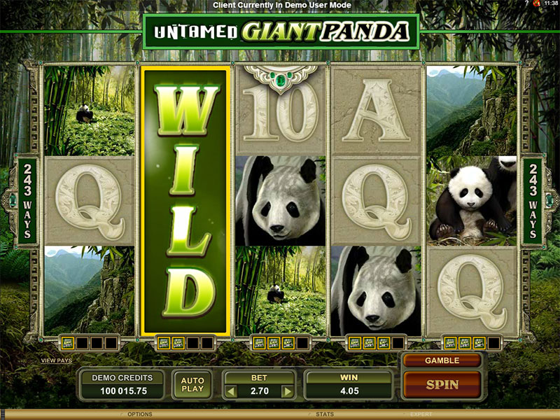 Untamed Giant Panda gameplay screenshot 1 small