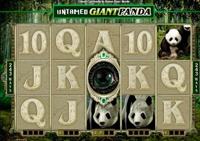 Untamed Giant Panda gameplay screenshot 2 small