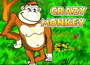 Crazy Monkey Slot – 100 Free Spins