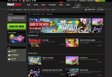 NetBet Casino gameplay screenshot 3 small
