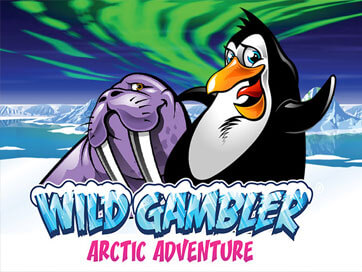 Wild Gambler Arctic Adventure Slot Review