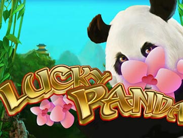 Lucky Panda Slot Review