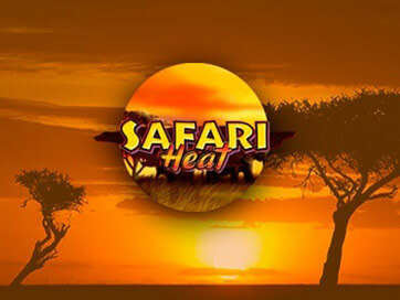 Safari Heat Slot Review
