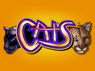 Cats Slot review