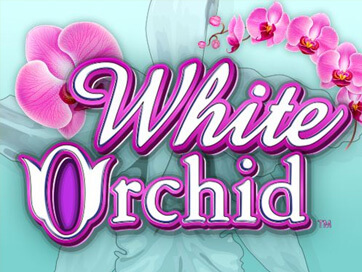 White Orchid Slot Review £10 Bonus