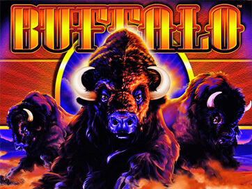 Buffalo Slot Review