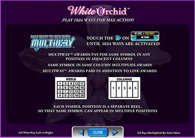 White Orchid gameplay screenshot 4 small