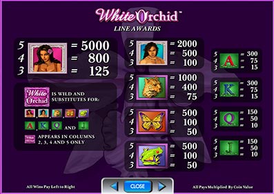 White Orchid gameplay screenshot 2 small