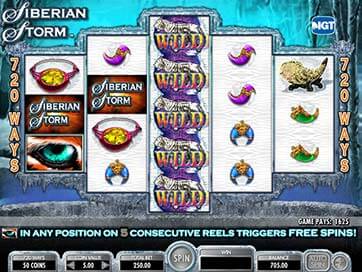Siberian Storm gameplay screenshot 5 small