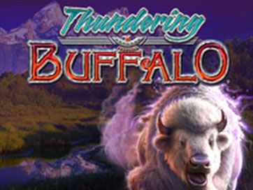 thundering buffalo