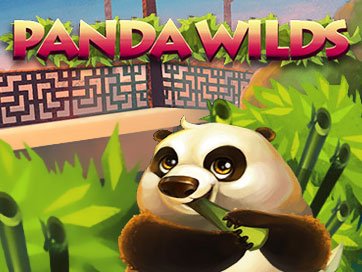Panda Wilds Slot