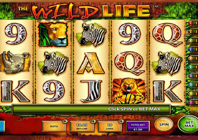 The Wild Life gameplay screenshot 2 small