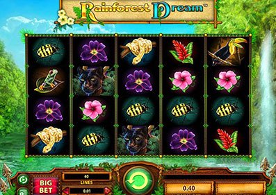 Rainforest Dream gameplay screenshot 2 small