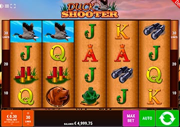 Duck Shooter gameplay screenshot 3 small