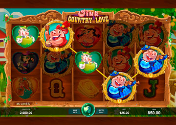Oink Country Love gameplay screenshot 2 small