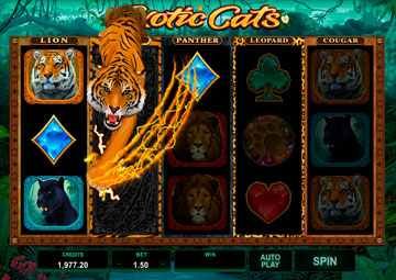 Exotic Cats gameplay screenshot 2 small