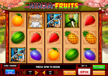 Ninja Fruits gameplay screenshot 1 small