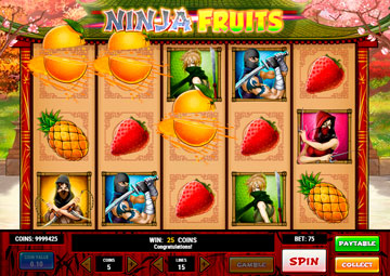 Ninja Fruits gameplay screenshot 2 small