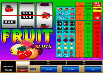 Fruit Slots gameplay screenshot 2 small
