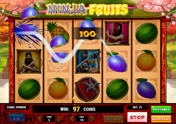 Ninja Fruits gameplay screenshot 3 small