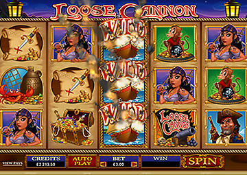 Loose Cannon gameplay screenshot 3 small