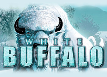 White Buffalo