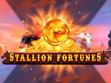 Stallion Fortunes
