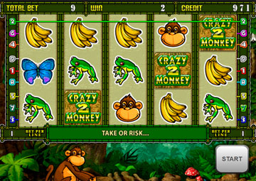 Crazy Monkey 2 gameplay screenshot 1 small