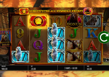 Grizzly Gold Mobile gameplay screenshot 2 small