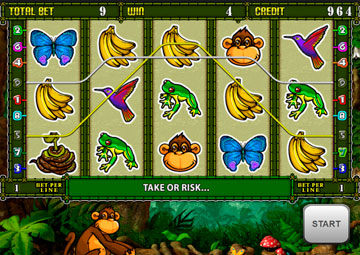 Crazy Monkey 2 gameplay screenshot 2 small