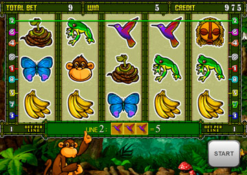 Crazy Monkey 2 gameplay screenshot 3 small