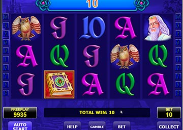 Book Of Fortune gameplay screenshot 2 small