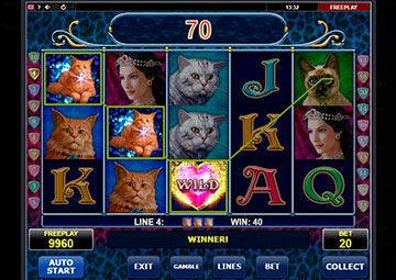 Diamond Cats gameplay screenshot 1 small
