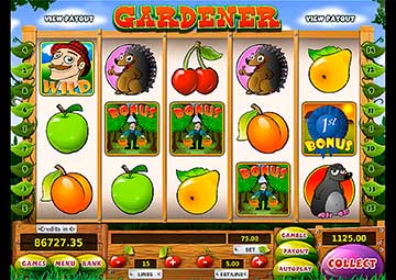 Gardener gameplay screenshot 1 small