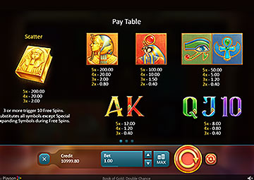 Book Of Gold Double Chance gameplay screenshot 3 small