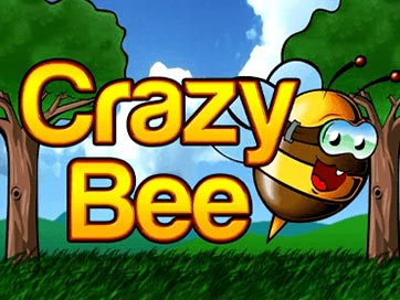 Bee Crazy Hd
