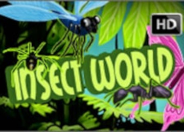 Insect World Hd