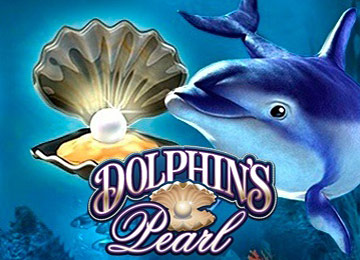 Dolphins Pearl