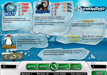 Icy Wonders gameplay screenshot 1 small