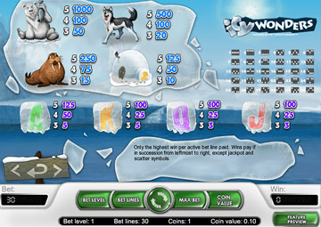 Icy Wonders gameplay screenshot 2 small